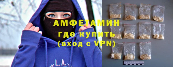 гидра Каменка