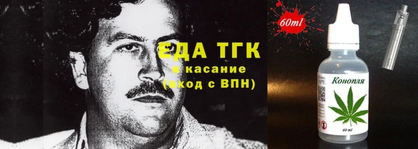 гидра Каменка