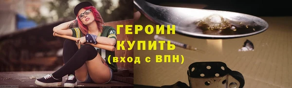 гидра Каменка