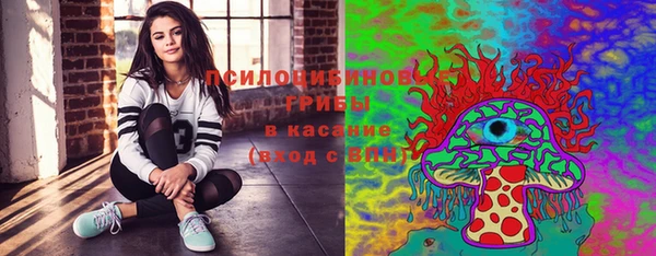 гидра Каменка