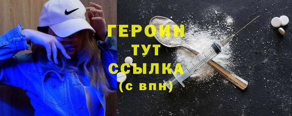 гидра Каменка
