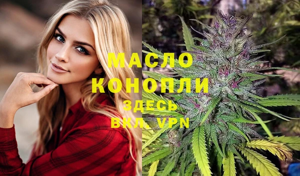 гидра Каменка