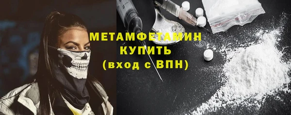 гидра Каменка