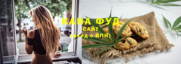 гидра Каменка