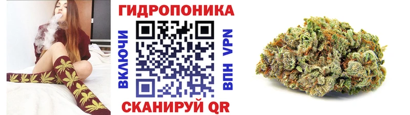 Купить  Новоульяновск  Конопля индика 